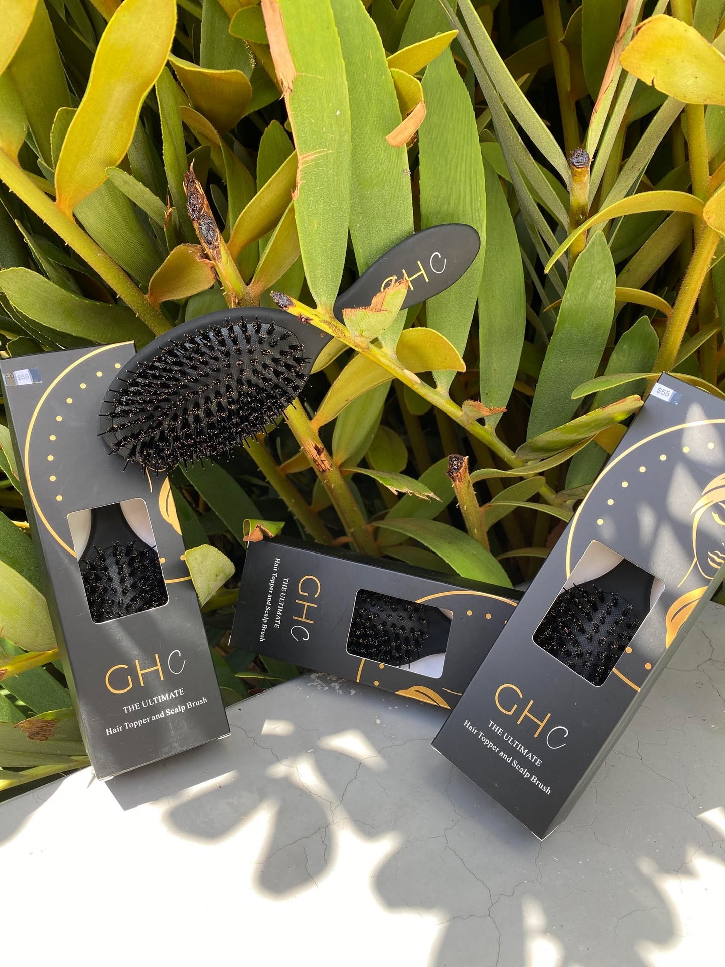GHC Brush